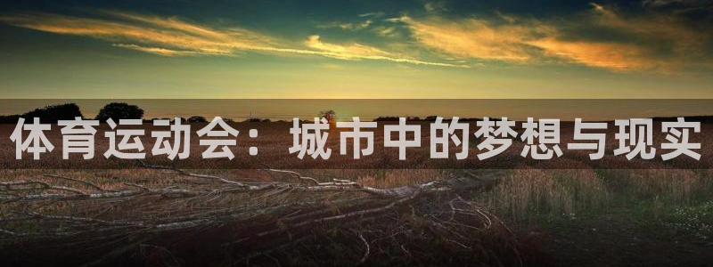 天天体育休闲频道最新节目单：体育运动会：城市中的梦想与现实
