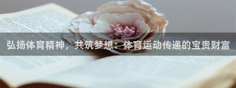 天天体育商城：弘扬体育精神，共筑梦想：体育运动传递的宝贵财富