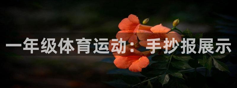 天天体育cctv5直播在线：一年级体育运动：手抄报展示