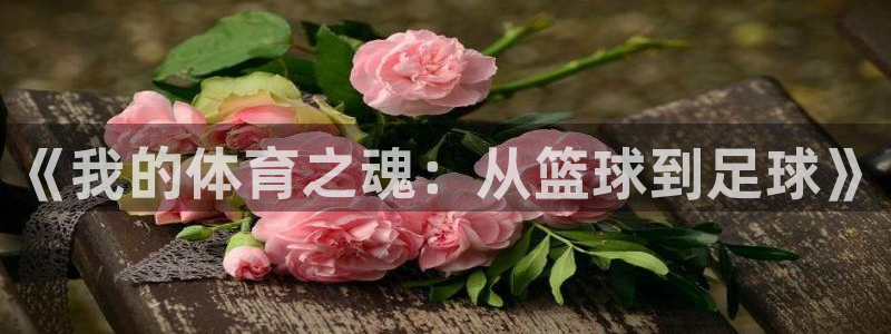 天天体育三分球节目最新一期：《我的体育之魂：从篮球到足球》