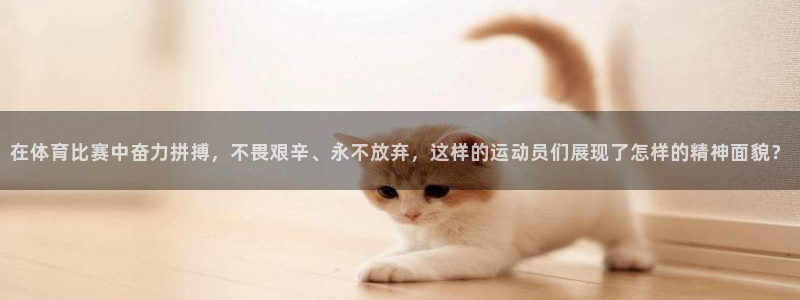 天天体育嘉宾都有谁：在体育比赛中奋力拼搏，不畏艰辛、永不放弃，这样的运动员们展现了怎样的精神面貌？