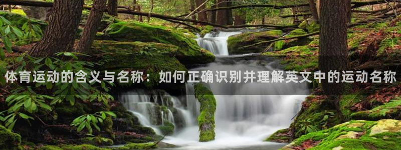 天天体育乒乓球直播：体育运动的含义与名称：如何正确识别并理解英文中的运动名称
