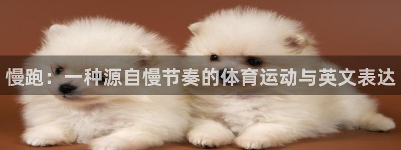 天天体育咪咕英超直播在线观看：慢跑：一种源自慢节奏的体育运动与英文表达
