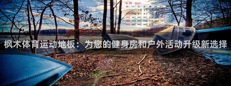 天天体育NBA直播能看啥：枫木体育运动地板：为您的健身房和户外活动升级新选择
