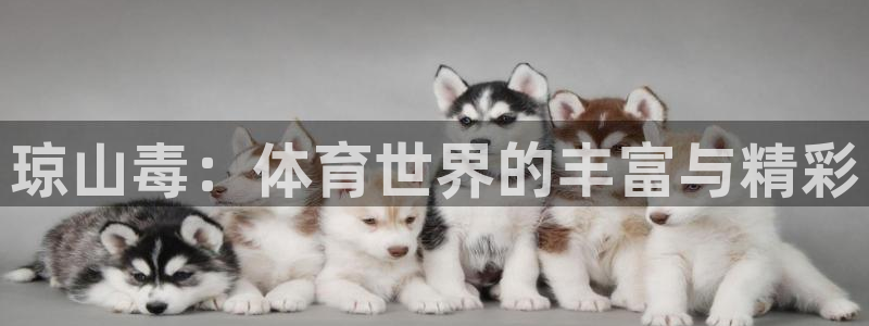 天天体育app下载：琼山毒：体育世界的丰富与精彩